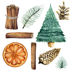 Set of Christmas decoration, Citrus, cinnamon, tree, cones, fir branches
