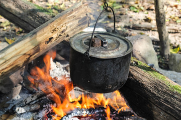 Cauldron on fire in forest