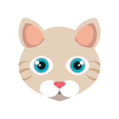 cute cat mascot icon vector illustration design