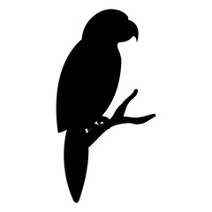 parrot bird isolated icon vector illustration design