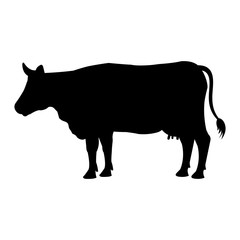 cow animal farm icon vector illustration design