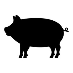 pig animal farm icon vector illustration design