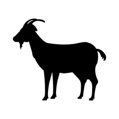 goat animal farm icon vector illustration design