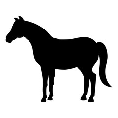 Fototapeta na wymiar horse animal farm icon vector illustration design