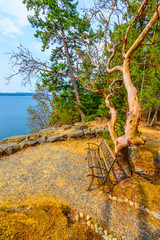 A bench with gorgeous view at mountain lake, British Columbia, Canada.