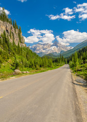 Fototapeta premium Rocky Mountains. Coastal Mountains. Blackwall Peak trail in Manning Park. British Columbia. Canada.
