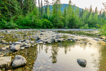 Fototapeta na wymiar Majestic mountain river in Canada. Manning Park Lightning Lake Trail in British Columbia.