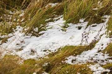 Obraz na płótnie Canvas Snow malting on grass at spring or autumn