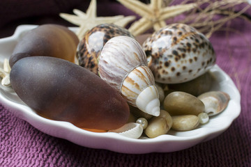 Тарелка ракушек
