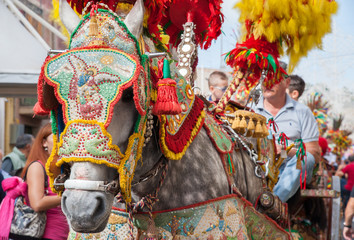 Obraz premium Closeup view of a horse head of a sicilian cart and its ornamental harness