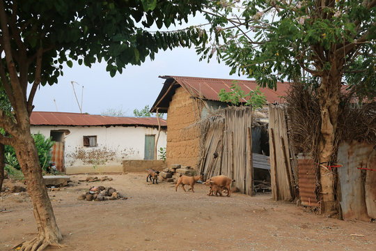 Village de Datcha. Togo. Stock Photo | Adobe Stock