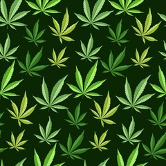 Fototapeta premium Marijuana background seamless patterns