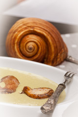 Sea Snail On Leek And Potato Cream