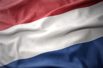 waving colorful flag of netherlands. - obrazy, fototapety, plakaty