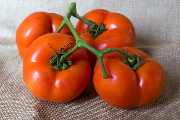 Ripe natural tomatoes growing on a branch over textile background