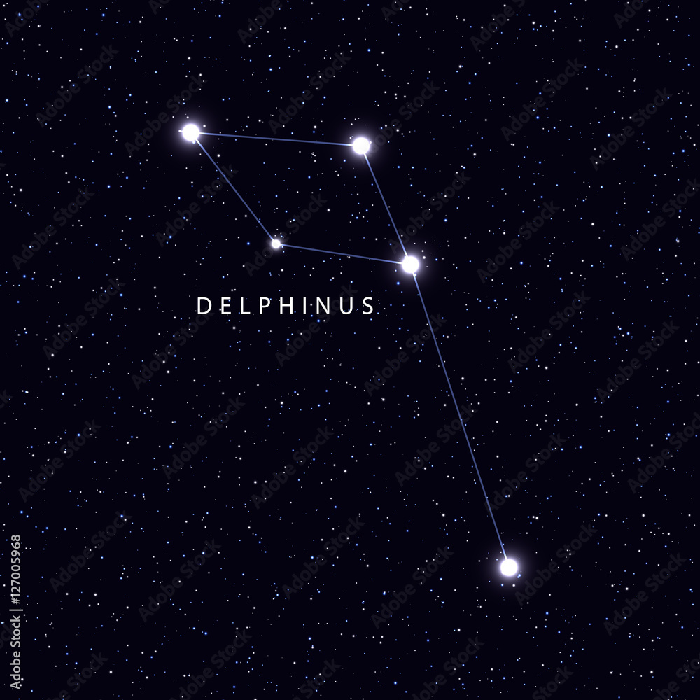 Wall mural sky map with the name of the stars and constellations. astronomical symbol constellation delphinus