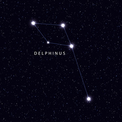 Sky Map with the name of the stars and constellations. Astronomical symbol constellation Delphinus © lauritta