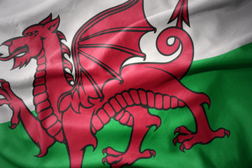 waving colorful flag of wales.