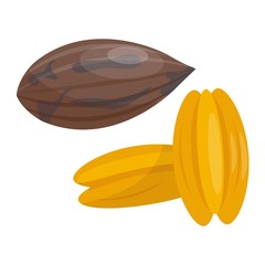 Pile of nuts vector illustration Peacans