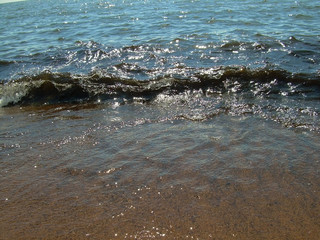 Волны чёрной, грязной воды. Берег  