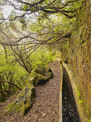 Portugal, Madeira, View of the Levada da Serra do Faial on the part from Ribeiro Frio to Portela..