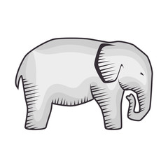 elephant animal big isolated vector illustration design