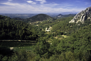 vineyards provence france