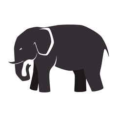 elephant animal big isolated vector illustration design