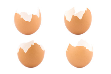 Eggs shell isolated on white background