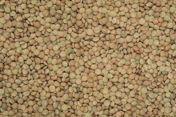 Lentile bean background and texture