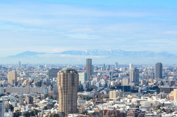 Fototapeta na wymiar View of Tokyo city in winter from Tokyo tower