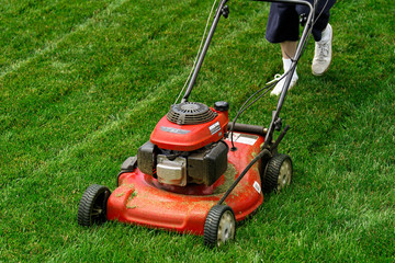 Fototapeta premium Red push lawn mower