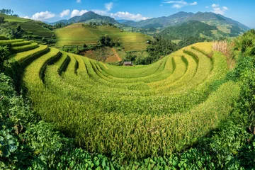 Keuken foto achterwand Mu Cang Chai Terraced rice field in Mu Cang Chai, Vietnam