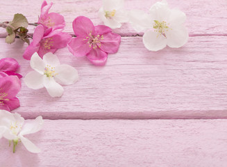 Obraz na płótnie Canvas apple flowers on pink wooden background