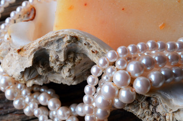 Seashell and Pearls