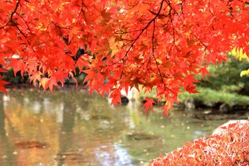 紅葉(山形県山形市)