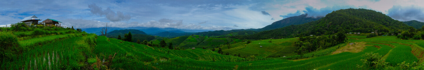 Rice terraces,Rice Field in Pa Pong Piang , Mae Chaem, Chiang Ma