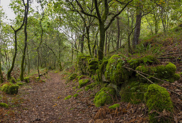 green place in the middle of the mountain with rocks and moss