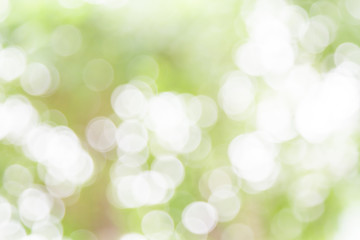 White and green nature bokeh circular shape, abstract background.