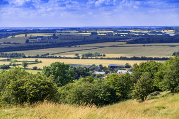 Naklejka premium english agricultural countryside