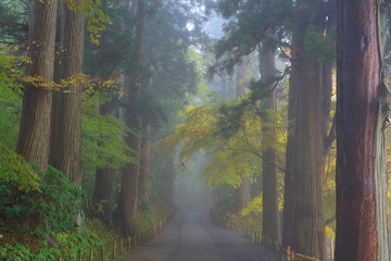 世界遺産　平泉　紅葉の中尊寺