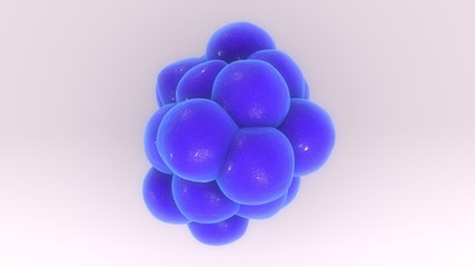 Cytokine