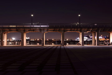 象の鼻パークの夜景