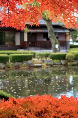もみじ公園(山形県山形市)