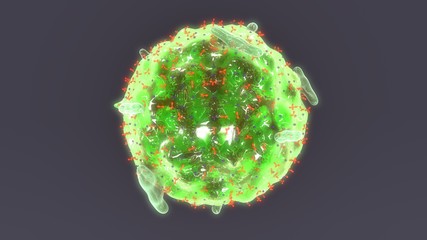 Epinephrine