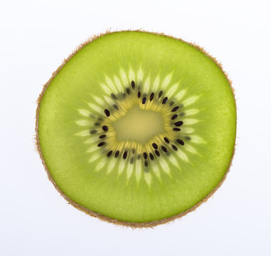 Kiwi fruit sliced on white background