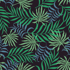 Fototapeta na wymiar Tropical background with palm leaves
