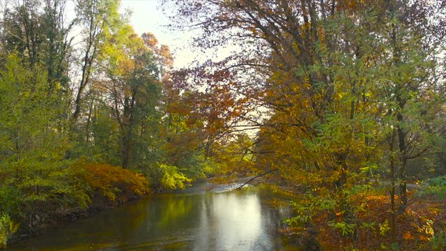 Quiet river flowing and trees in a park in autumn