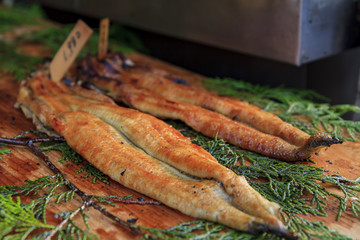 Delicious eel fish