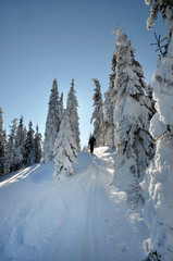 Backcountry skier enjoying winter first snow